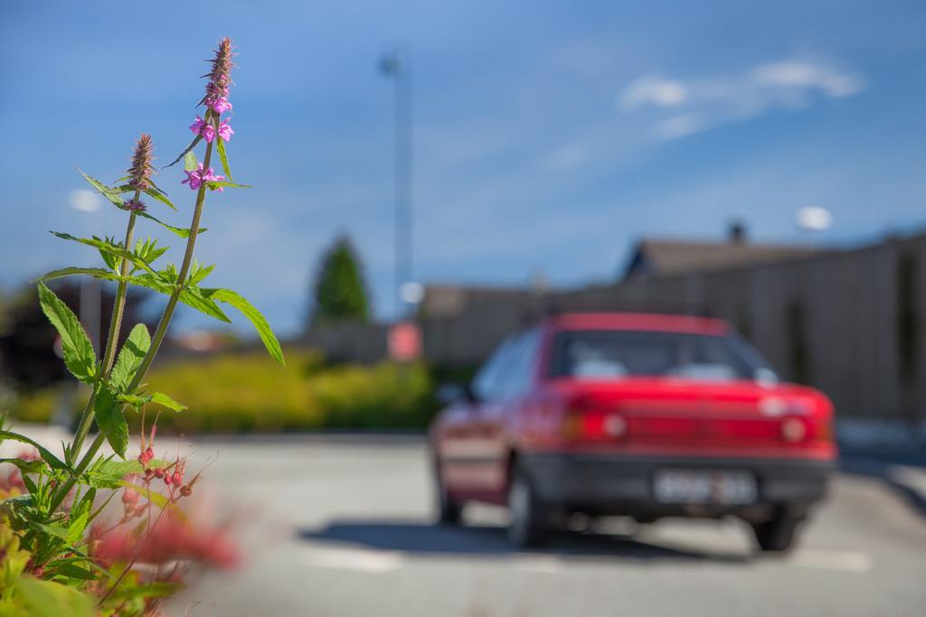 Foto: Fra fylkesvei 44 på Forus i Sandnes Utbygging av 38 nye bomstasjoner på Nord-Jæren er startet opp. Bygging fortsetter i 2018, med mål om ferdigstillelse oktober 2018. 6.