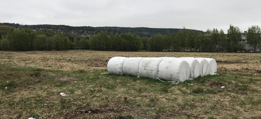 12 av 22 3 BESKRIVELSE AV NATURRESSURSER I PLANOMRÅDET 3.1 Drammen stasjon Det finnes ikke drivverdige naturressurser i området. 3.2 Gulskogen stasjon Nord for stasjonsområdet finnes det et areal registrert som dyrkbar mark i databasen Kilden, og som i dag benyttes til gressproduksjon.