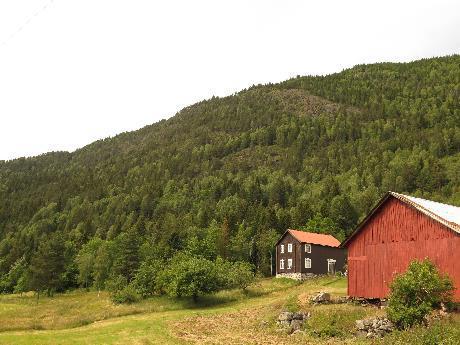 Lokaliteten ligger i sørvendt liside for Hjartsjå.