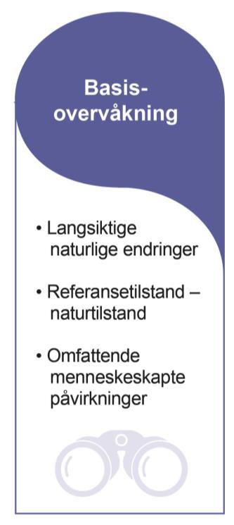 Basisovervåking Referanseelver Referanse innsjøer (Økofersk) Elvetilførsler/Store elver (trend) Store innsjøer (Økostor) (trend) Overvåkning av