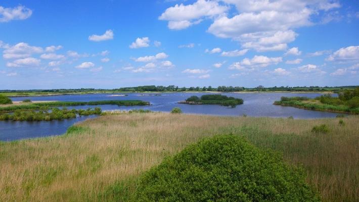 Opplev det rike dyrelivet i og omkring Leonorenwald. Kalkflachmoor ved Degtow (19 km) Like sydøst for Grevesmühlen ved bydelen Degtowl, ligger et beskyttet naturområde.