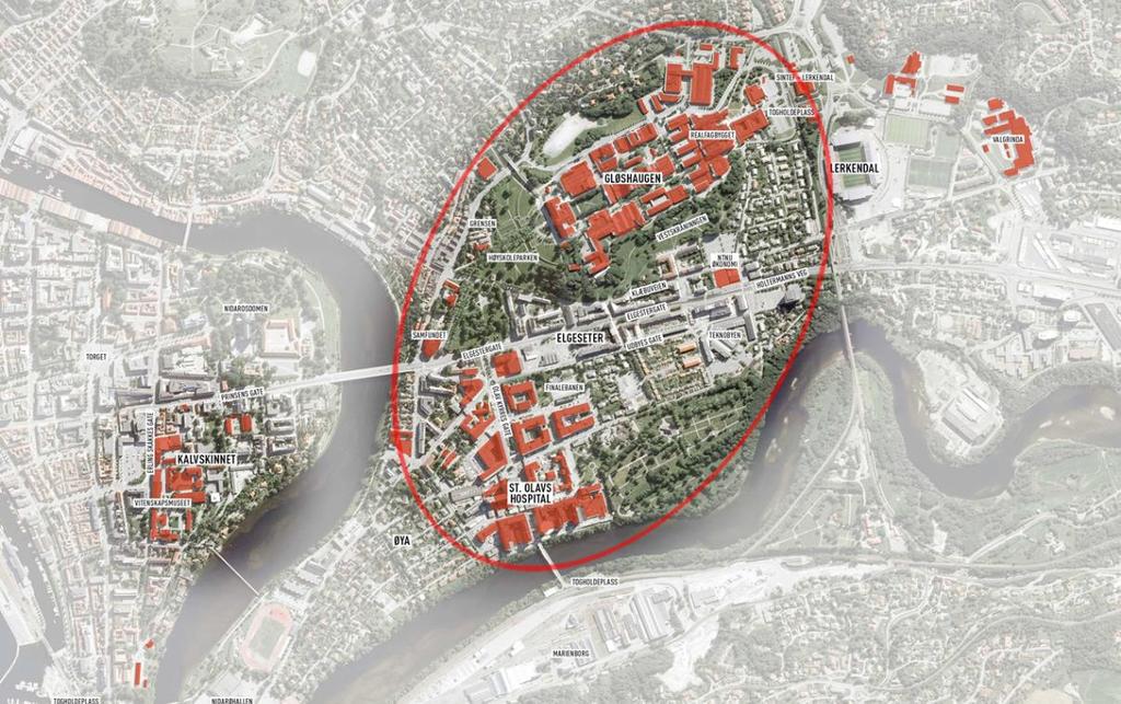 Figur 5: Bygninger hvor NTNU i dag har lokaler er markert med rødt og anbefalt område for nye bygg er markert med ellipse Anbefalt utbyggingsområde har den mest kompakte campusløsningen og de