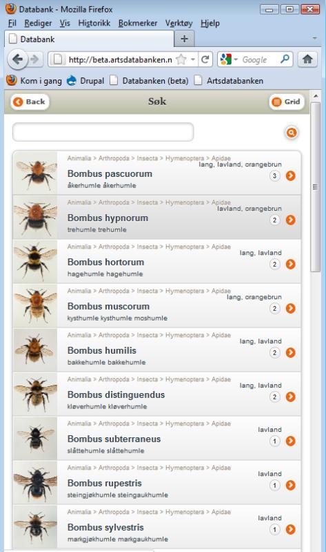 sorteres etter de med flest