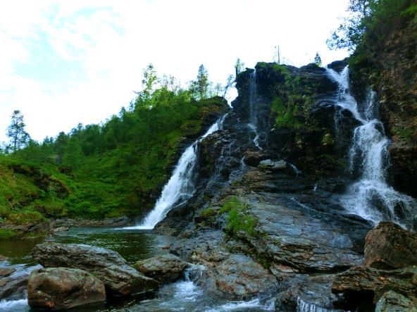 Det handlar om den unike opplevinga av å vera i fri natur, og det sterke ynsket om at elva skal få renna fritt, halda fram med å få vera slik den alltid har vore; at Kvanngjelet er og skal fortsetta