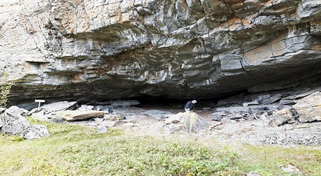 Nyphogget huler UTM 32V 0547834 7105438 Flere store og små huler på rekke langs samme bergvegg. Til dels mye sauemøkk i bunnen av de store og mareine avsetninger.