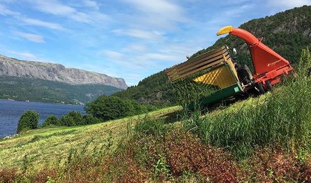 2.3 Driftsvansketilskudd Driftsulemper er knyttet til fysiske forhold som gjør det tidkrevende å drive jordbruksarealet. Dvs.