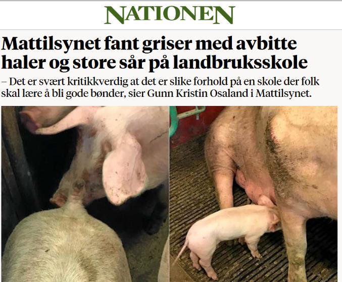 Videre slås det fast at «God dyrevelferd, kunnskap og gode holdninger hos bonden, sporbarhet og åpenhet i alle ledd i produksjonen er grunnlag for tillit til norsk mat».