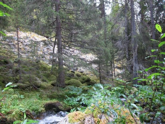 blokkmark med krevende