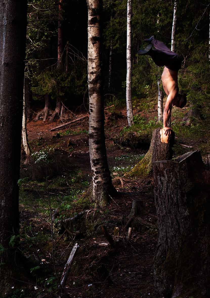 Foto: Iselin Jansen. Å skape attraktive møteplasser i den blågrønne strukturen er den røde tråden i Programområde 2s arbeid.