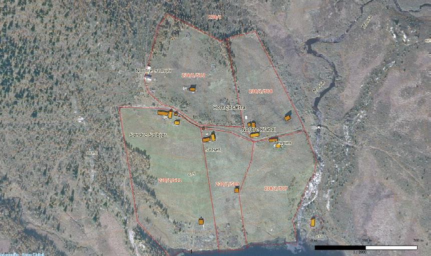 Figur 1. Ortofoto som viser Hornsjøsætra med de 5 setrene Sygard Solbjør, Nigard Solbjør, Nigard Kråbøl, Solset og Teigum sæter. Kilde: www.gislink.no.