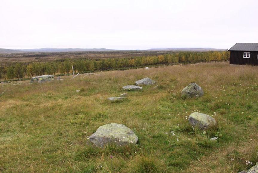 Figur 7. Parti med noe basekrevende vegetasjon ved Haldorbu (vokseplass for marinøkkel, fjellmarinøkkel og bakkesøte). Foto tatt 9.9.2012.