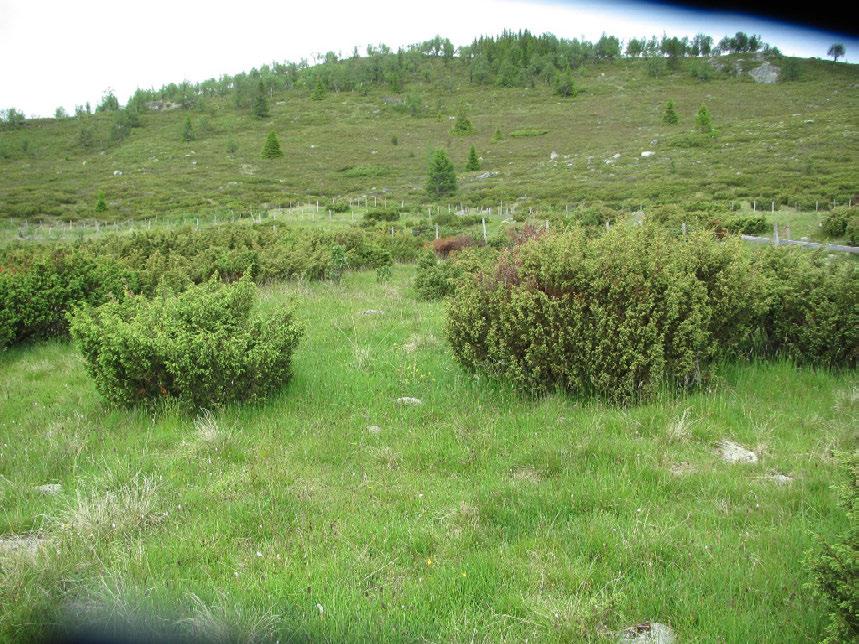 Beliggenhet og naturgrunnlag: Liomsætra ligger vest for Suluhøgda i Gausdal Vestfjell og er den innerste av setrene langs Dokkvassdraget.