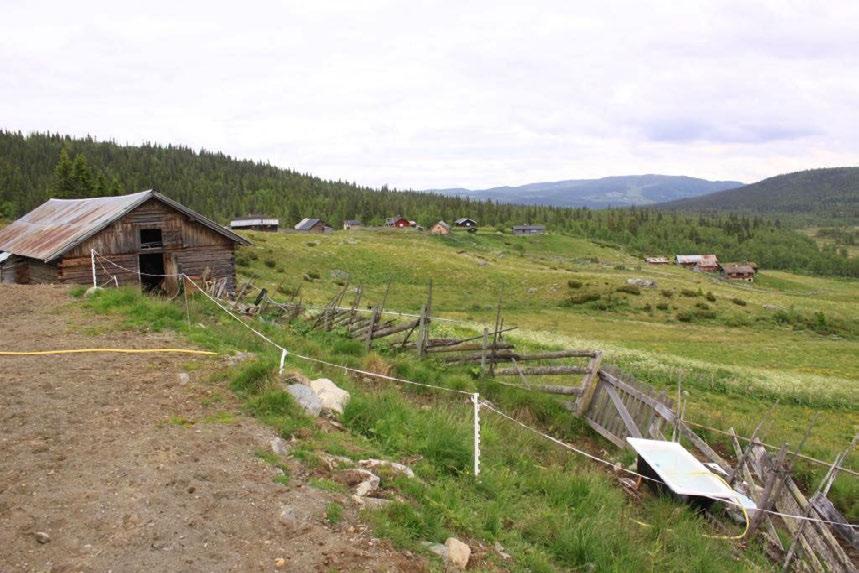 Beliggenhet og naturgrunnlag: Lundsætra ligger innenfor Storlægret landskapsvern-område, på sørsida av