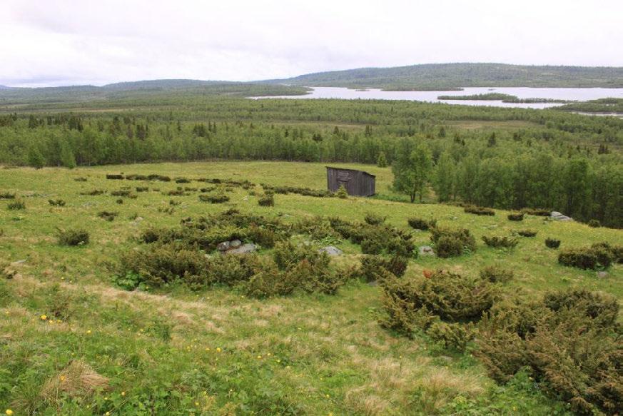 Midtre og nedre del av vollen, med gammel låve/løe. Foto tatt 30.6.