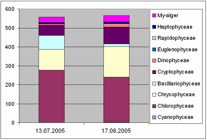 Figur 22. Bergsvatn i Vassås 2005. Planteplanktonets sammensetning (hovedgrupper) og biomasse (algevolum) i juli og august 7.