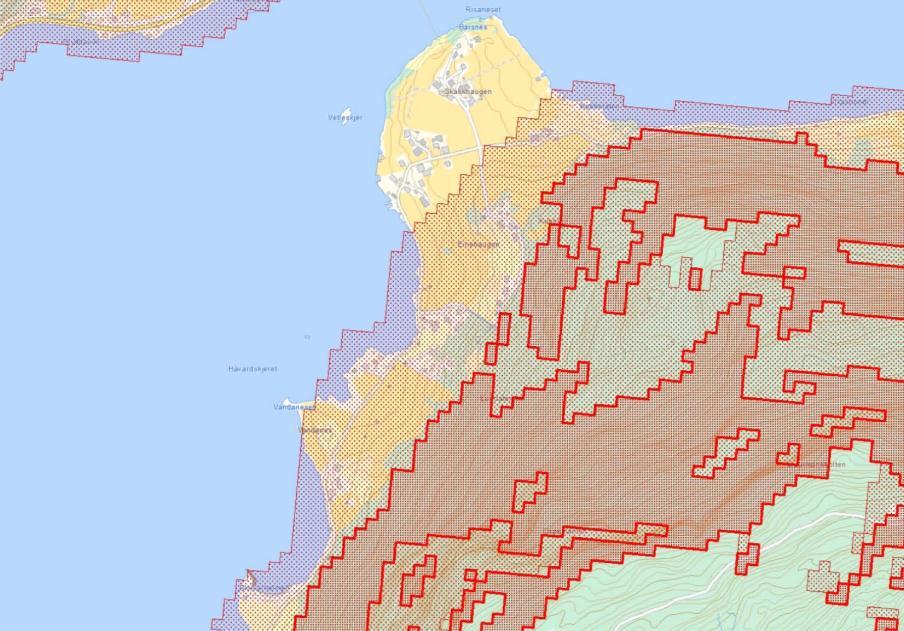 Figur 4: Aktsemdkartet for snøskred syner om lag same rekkevidde for snøskred som for steinsprang (figur 3). Mørk skravur er losneområdet, lys skravur er utlaupsområdet for snøskred.