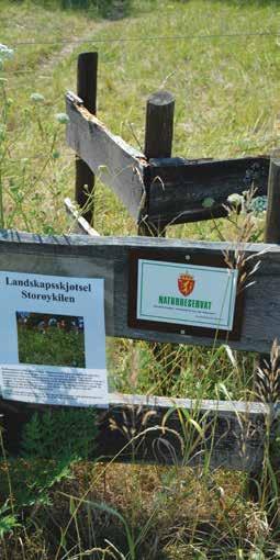 Nærmeste nabo er fjorden og store friluftsområder. Vi vil skape et godt bomiljø med en helhetlig og moderne arkitektur.