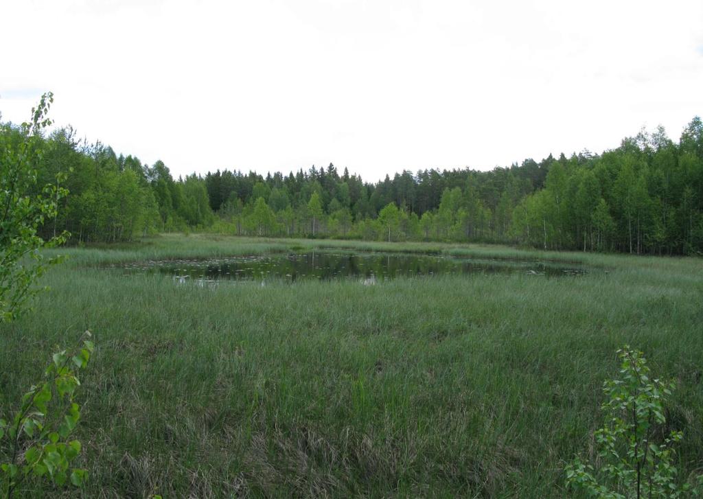 Sammendrag BioFokus har på oppdrag fra Fylkesmannen i Hedmark foretatt nykartlegging og kvalitetssikring av naturtypelokaliteter i Elverum kommune.