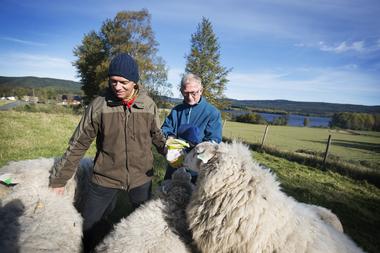 Tema Utfordringer Behov Kostnader Hva sier