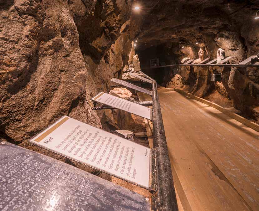 SANSENES TUNNEL tilbud til synsehemmede Alle Velkommen til Sansenes tunell. Dette er et universelt utformet tilbud for alle! Turen tar dere inn Clara stoll.