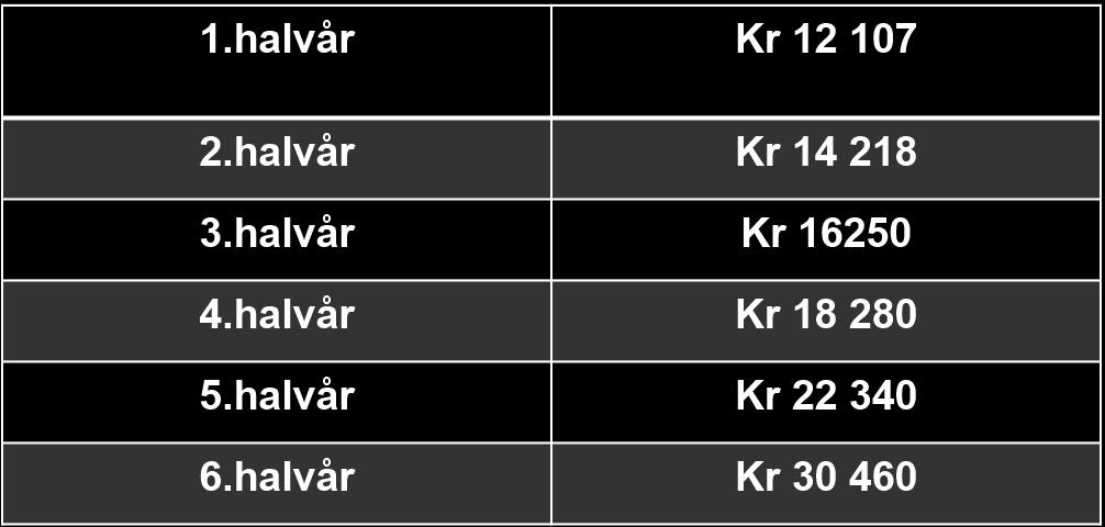 ankomst, godkjent grunnskole, gjennomført vg1 BA,