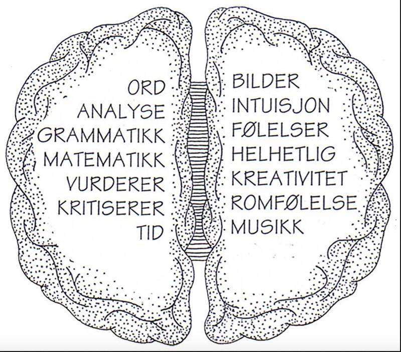 Lek og hjernen