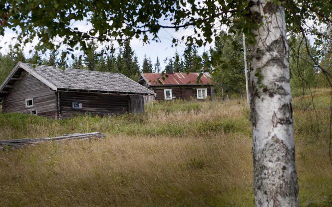 3.3 Landskap och natur Finnskogens natur- och kulturmiljöer innefattar hela landskapet, såväl skogsbygd och odlingsbygd som natur- och kulturmiljöer.