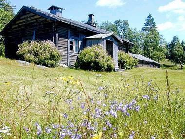 3.6 Merkevarebygging og markedsføring. Finnskogen Natur & kulturpark har utarbeidet en kommunikasjonsplattform. Tre viktige faktorer ligger til grunn for løsningen.