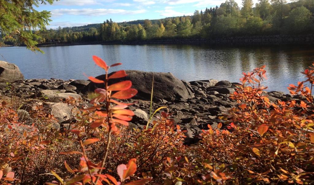 5. Samarbeidspartnere En natur- og kulturpark er basert på verdiskaping av lokale ressurser, motiverte innbyggere og det lokale initiativ.