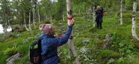 Alle må aktivt delta på en tur ute i terrenget. På dette kurset får du mulighet til å bruke teorien om kart og kompass ute. Dato: 3. mai og 7.