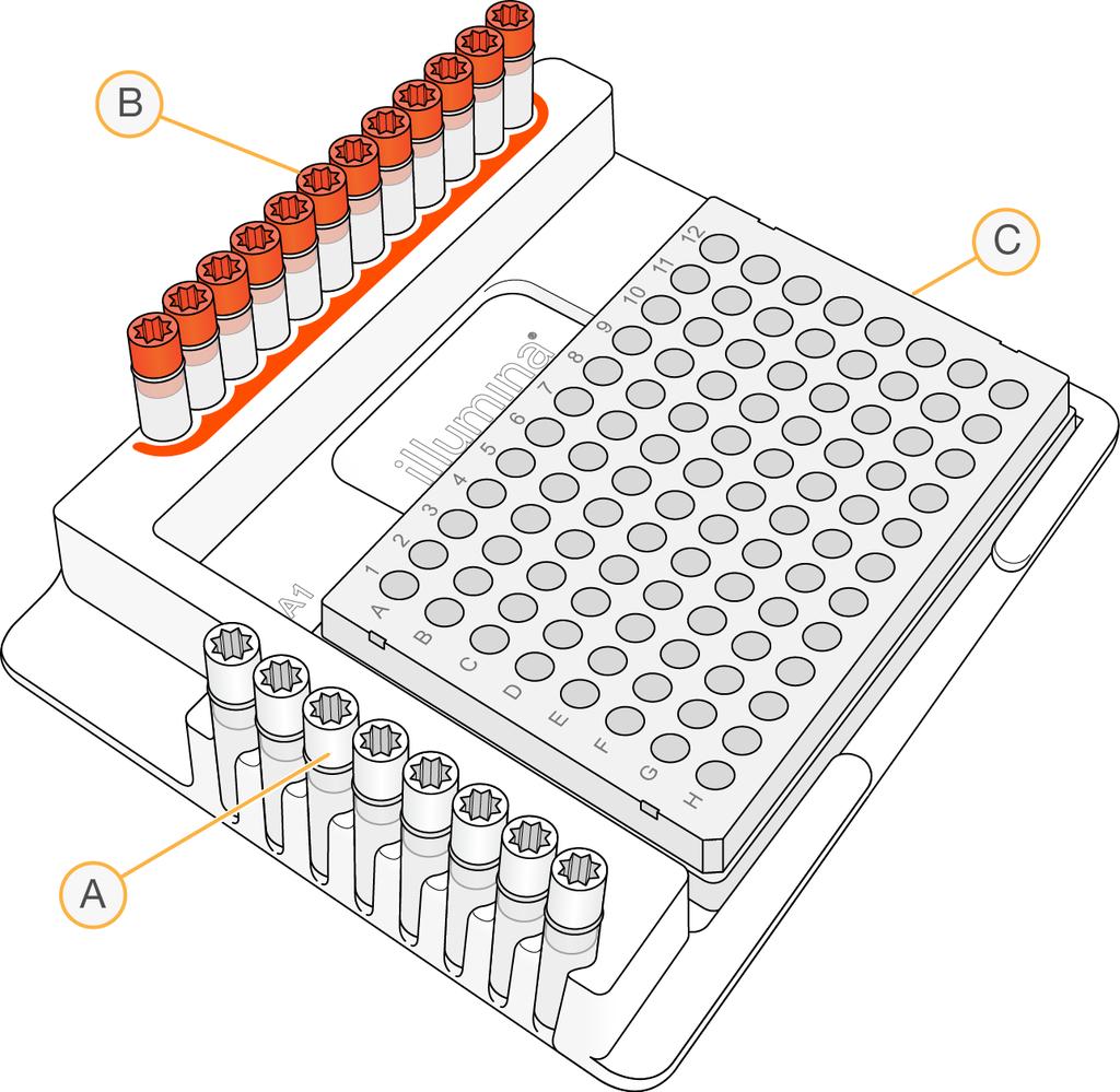 Figur 6 Indeksplatefikstur A B C Indeksprimere A (A501) H (A508) (hvite hetter) Indeksprimere 1 (A701) 12 (A712) (oransje hetter) AMP-plate 6 Merk en ny 96-brønners PCR-plate «AMP»