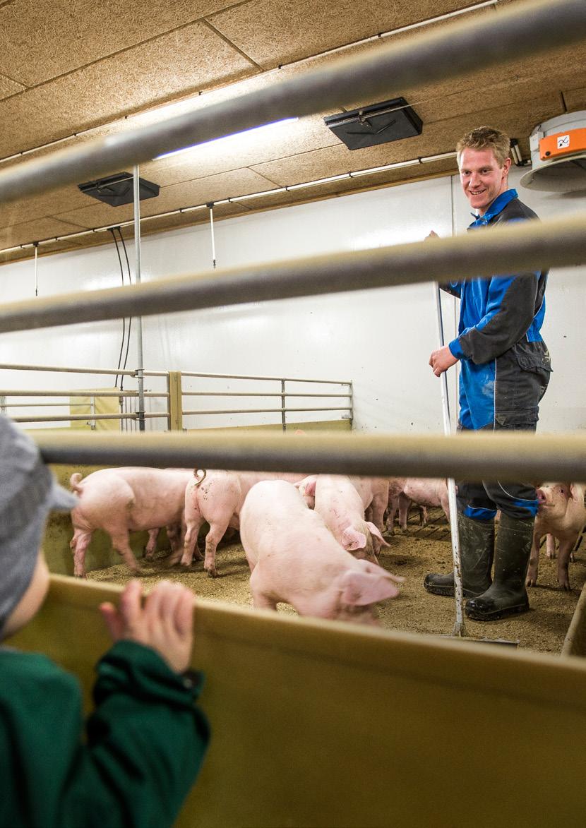 Landbruk. Bedriftene i Innlandet forventer økt omsetning, lønnsomhet og etterspørsel i 2015.