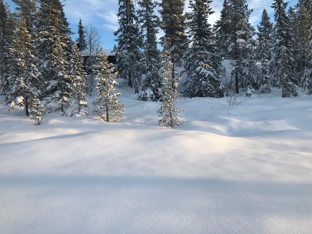 Sak 10/18 Den nærmeste hytta for ny plassering av tomt 122, gnr 140/53, ligger på 837 moh.