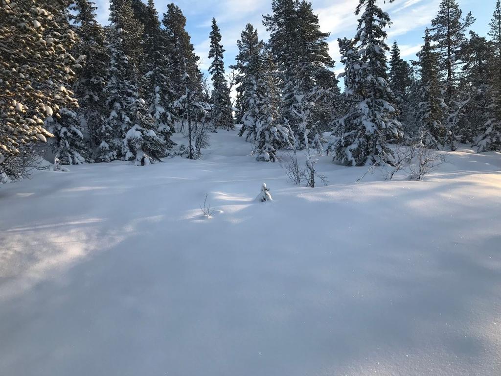 Sak 10/18 vedlegg. Modellen viser hvordan det vil se ut dersom det er snauhogget i området, noe som er svært usannsynlig.