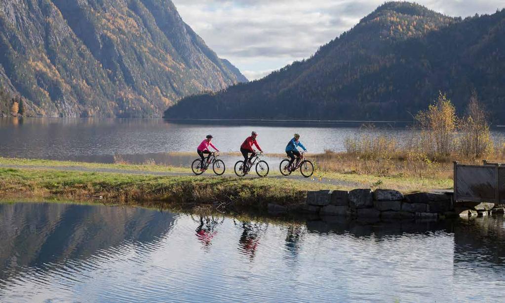 Visit Telemark tilbyr flere sykkelpakker, blant annet: Den store kanalturen Fjågesundtråkken Sjarmøretappen Den lille kanalturen Lundetråkken Kanalcamping.no, Lunde Syklisten.