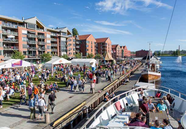 bakerovnen, lytt til bjelleklangen fra sauer på beite, og nyt synet av de vakre telemarkskyrne som beiter langs