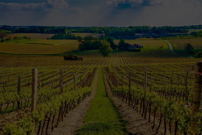 Produksjon med internasjonal handel Anta videre at Frankrike har komparativt fortrinn i produksjon av vin Da vil alternativkostnaden ved produksjon av vin være lavere i Frankrike enn i Tyskland < For