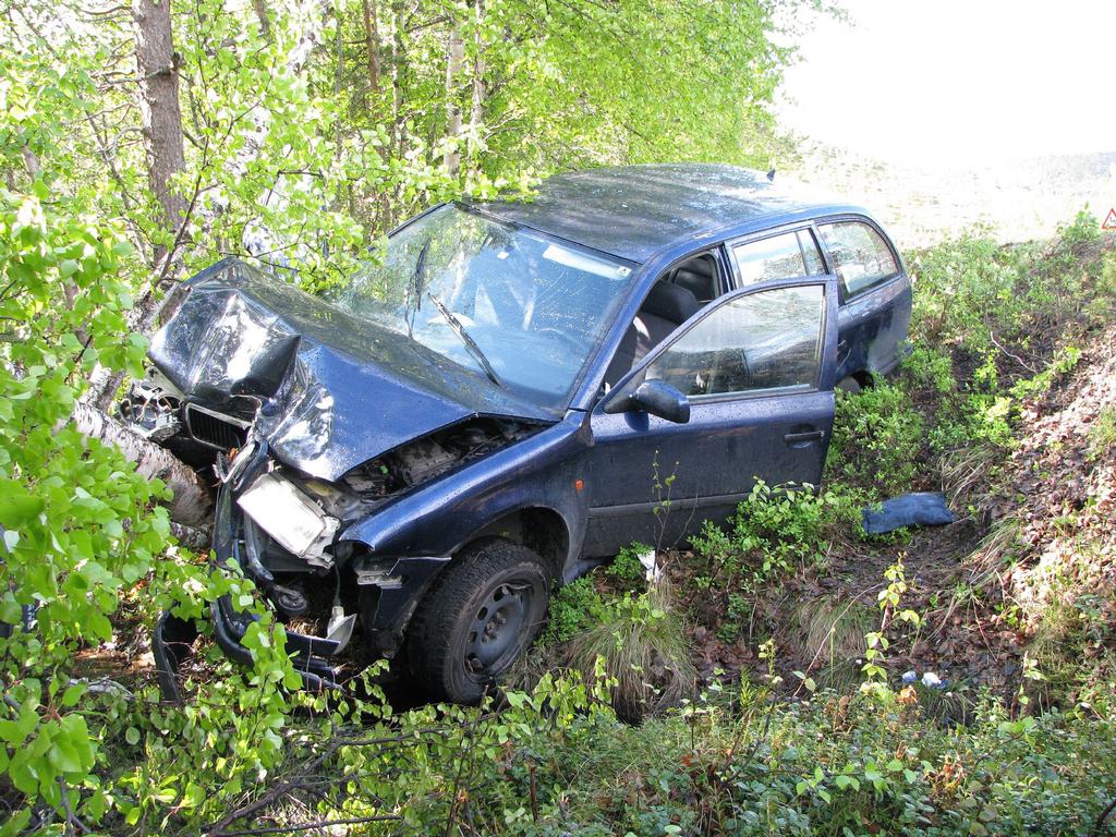 Årsrapport 2010 Dybdeanalyse av dødsulykkene i vegtrafikken i Nord-Norge