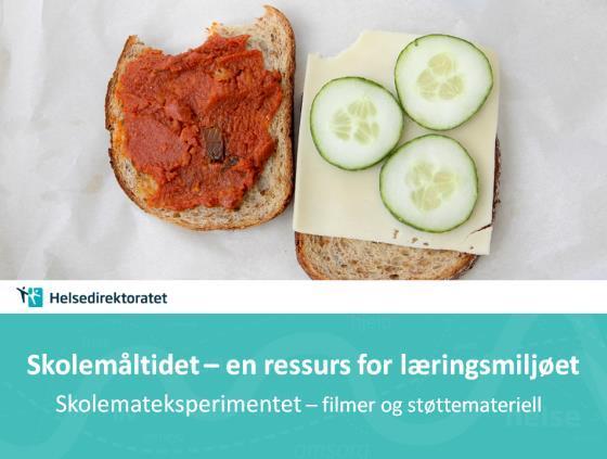 Helsedirektoratets nasjonale faglige