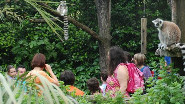 Det historiske torget i Siena Giardino Zoologico di Pistoia (64.7 km) Denne dyreparken i Pistoia rommer et parkanlegg på hele syv hektar og huser mer enn 400 dyr.