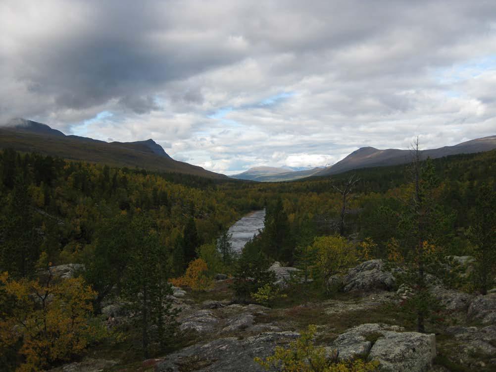 4.2.1 Dividalen Dividalen landskapsvernområde i Målselv kommune, Troms fylke, ligger i dalen på vei opp mot Dividalen nasjonalpark nær grensen mot Sverige. Fra gammelt av er dette et samisk område.