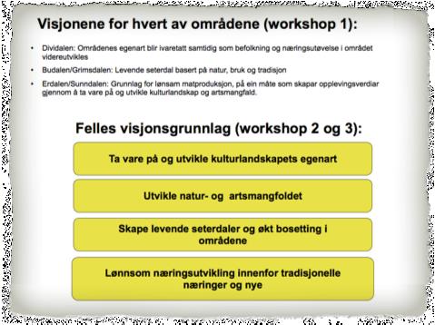 4.4 Visjon for landskapsvernområder i fjellet I 4.2 beskrev vi hva deltagerne mente burde være hovedmål/ visjon for de ulike landskapsvernområdene.