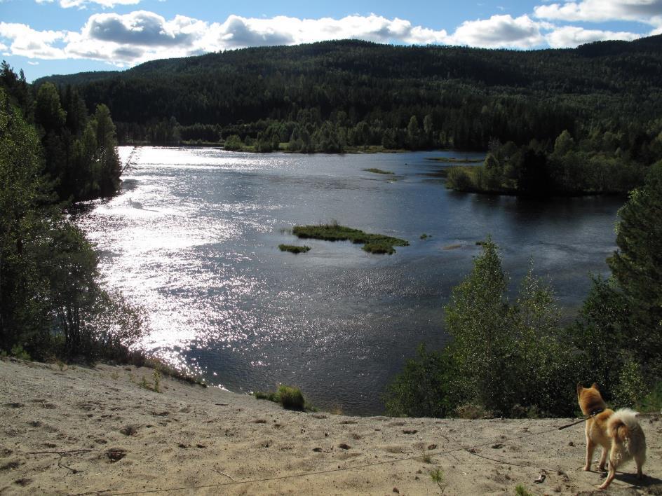 Metode Områdene som ble valgt ut for undersøkelse ble i stor grad valgt ut på bakgrunn av ortofoto studie.