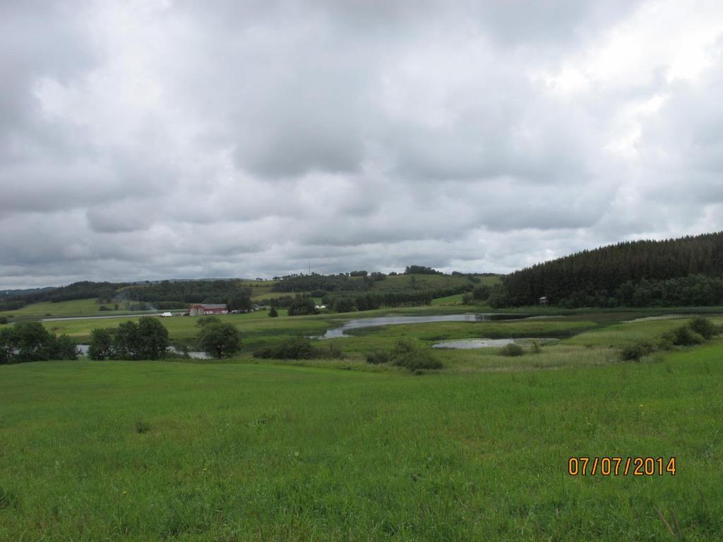 Fig.8 Oversikt over nordre deler av Lonavatnet/Figgjo-elva. På østsida er det en vei nær deler av vannet og en båtutsettingsplass. Her er det en del kortskuddsvegetasjon på og nær stranda med bla.