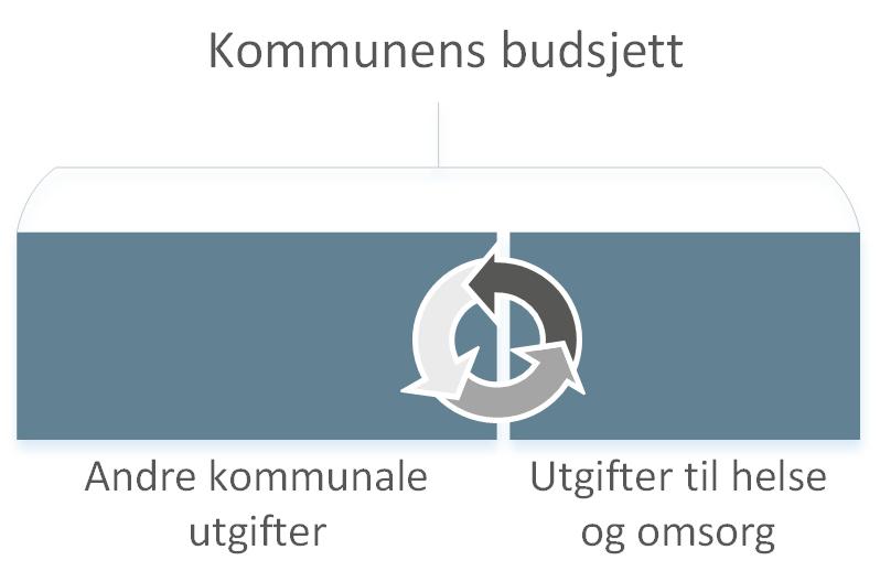 2.2 Finansieringsmodell Dette avsnittet gir en beskrivelse av finansieringsmodellene som praktiseres i forsøket.