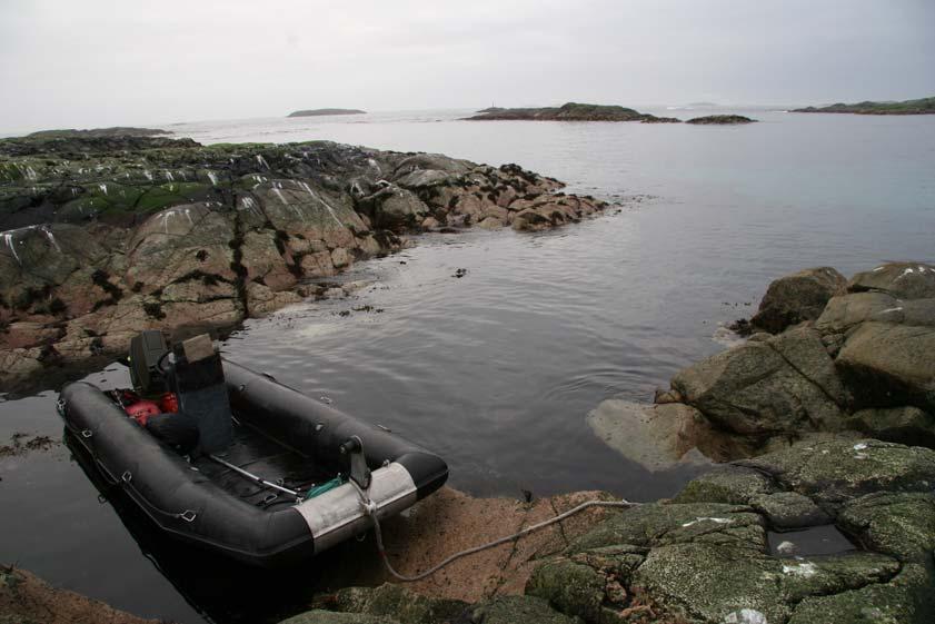 Havsul 4 AS Konsekvensutredning for Havsul 4, Averøy og Eide kommuner Tema: Biologisk mangfold Tilleggsutredning: