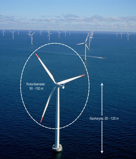 Ved en utbygging med 8 MW vindmøller (alternativ V3) vil det være behov for 44 vindmøller for å oppnå samme totale installasjon (350 MW). Vindmøllene vil bli plassert i et geometrisk gittermønster.