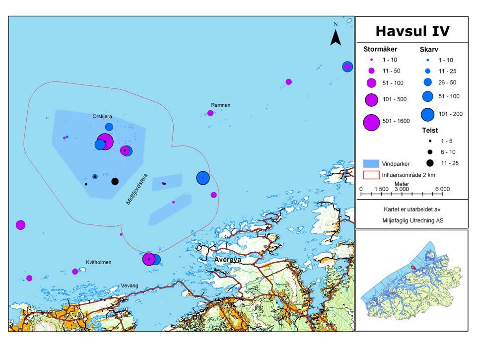 Figur 11. Forekomst av skarv, stormåker og teist i utredningsområdet for i Averøy og Eide kommuner, samt i fem kontrollområder utenfor influensområdet.