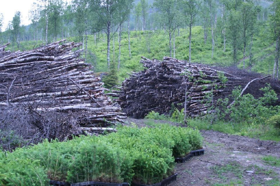 Skogbruk i Troms Regionmøte tømmerkaier 15.4.