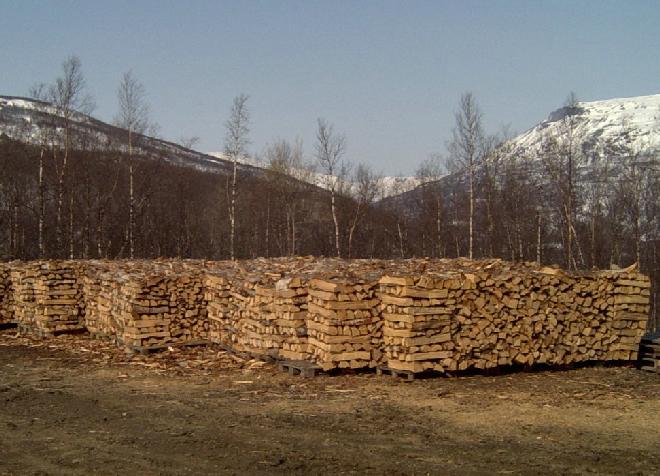 Bioenergi i Troms Ved til